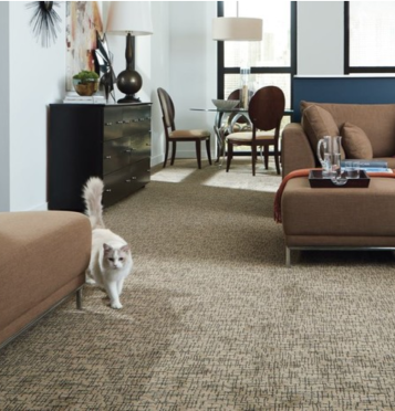 pet-friendly living room carpet
