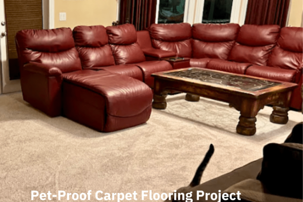 Pet-Proof Carpet Flooring Project