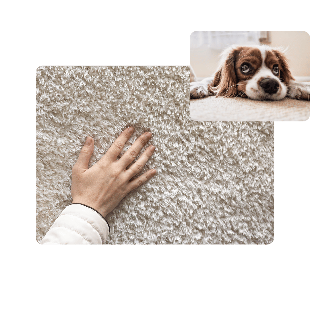 Carpets That Offer Superior Resistance