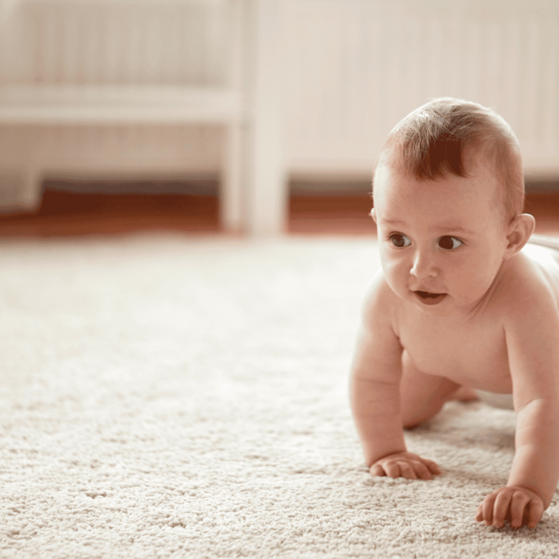 Water-Resistant Carpets Water-Resistant Carpets