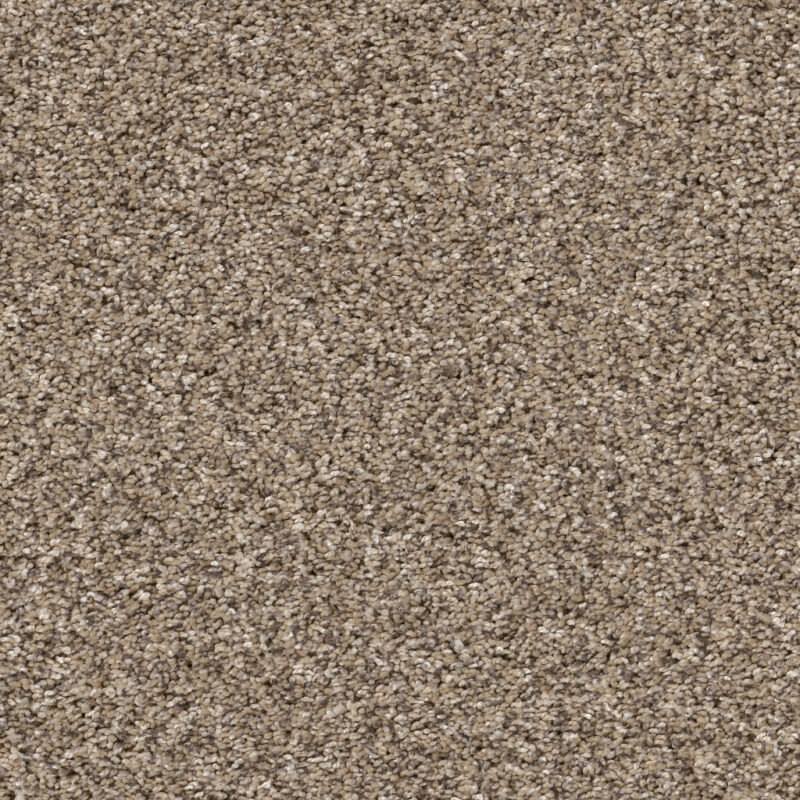 Yes You Can II - Shaw Flooring