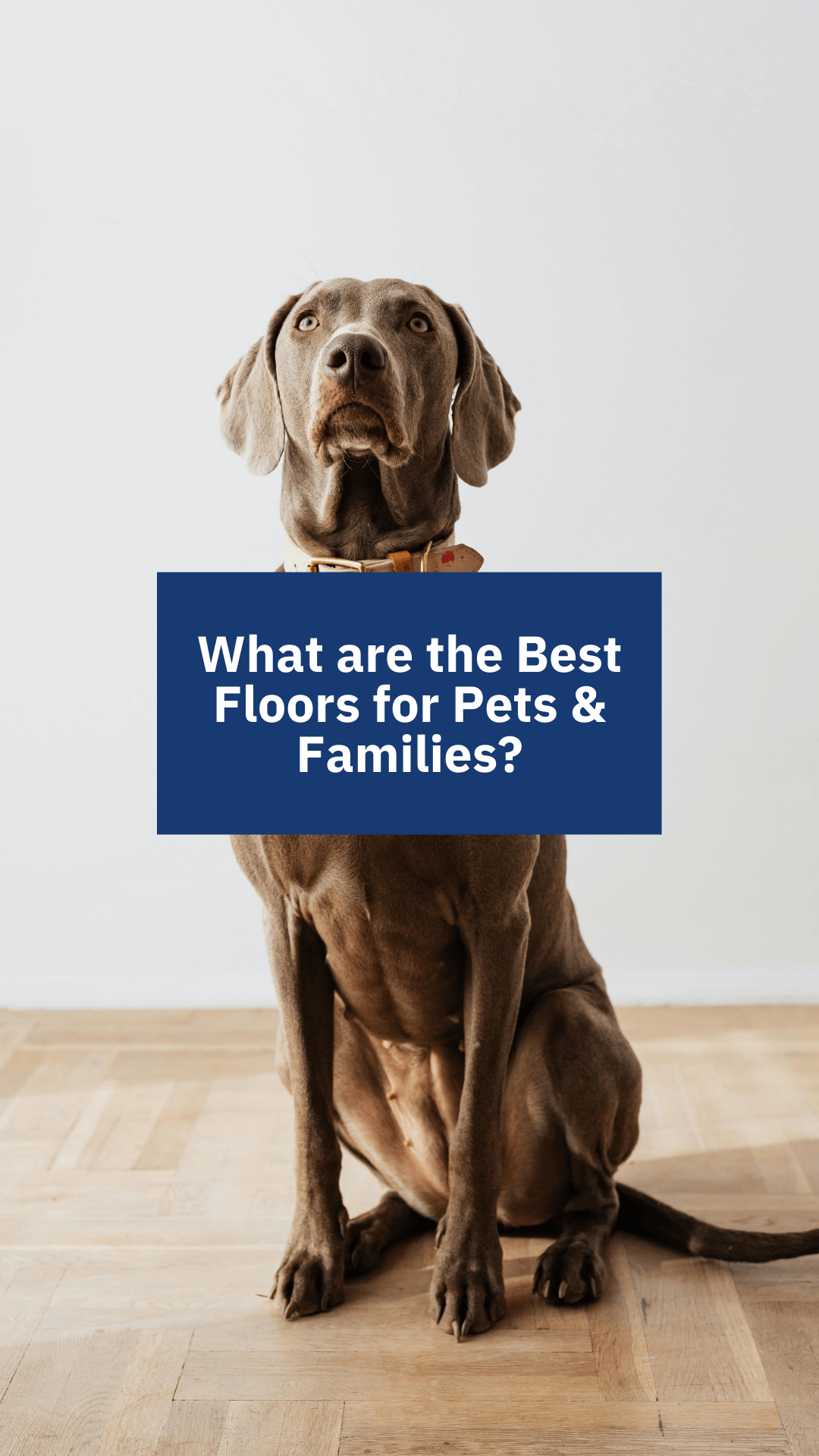 Best Floors for Pets & Families