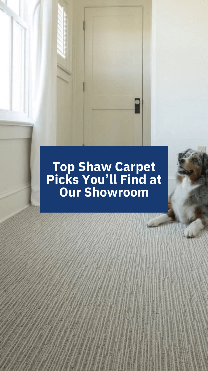Top Shaw Carpet Picks at Our Vegas Showroom