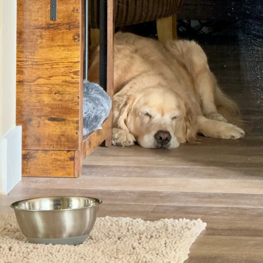 Provenza Laminate Pet-Friendly Floors