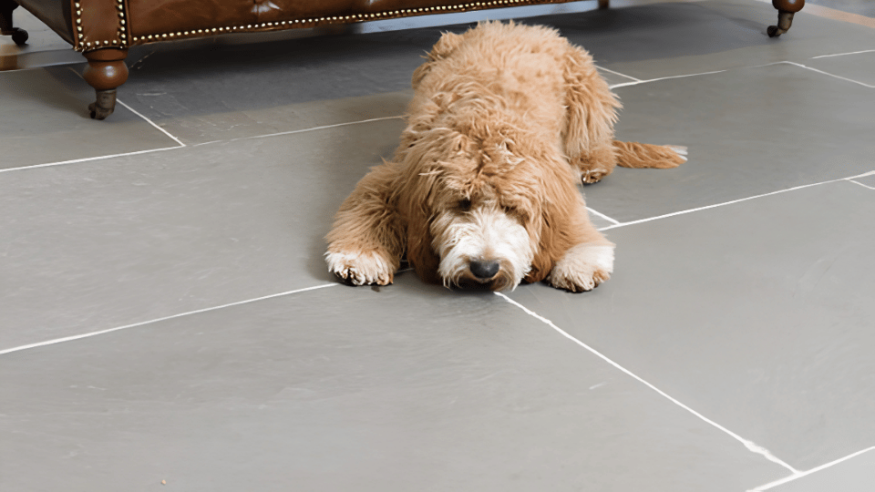 Durable & Scratch-Resistant Tile Flooring Las Vegas