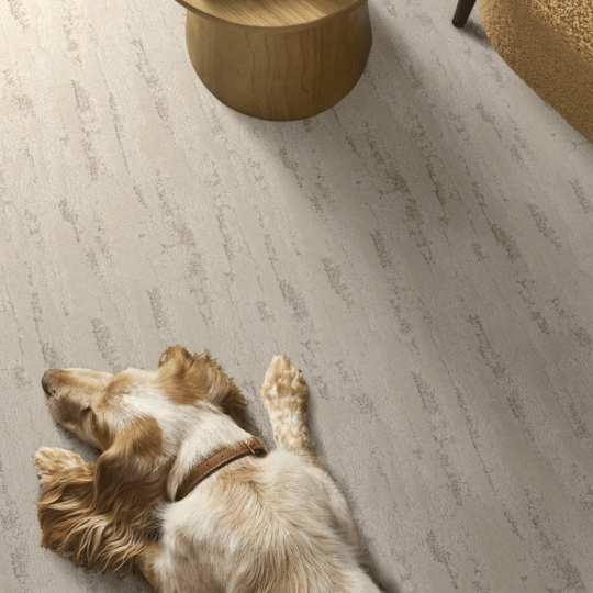 Las Vegas Stain and Water-Resistant Carpet