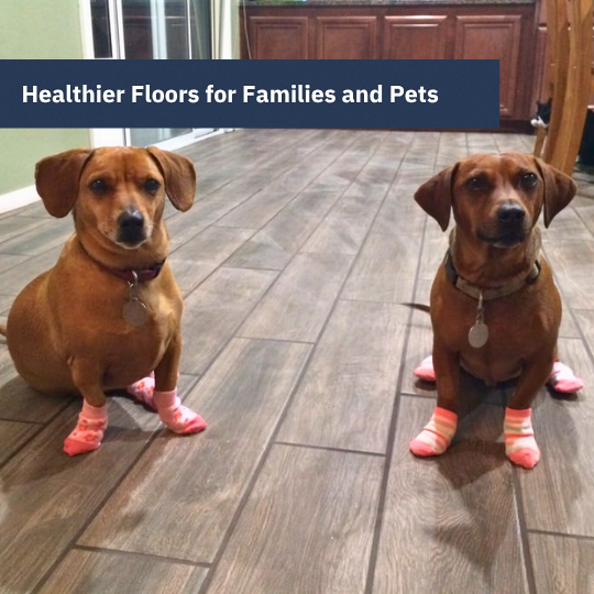 Healthier Floors for Families and Pets