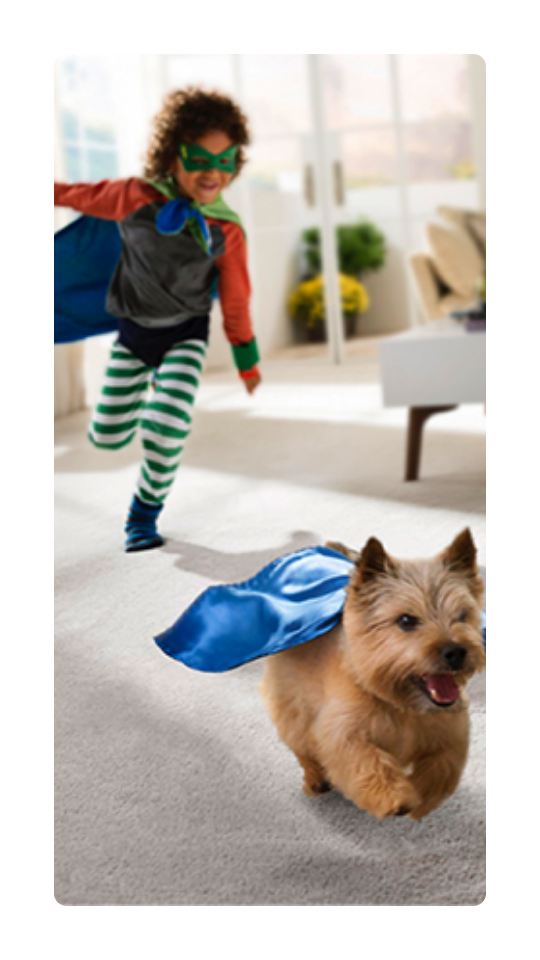 Best Carpet for Henderson, NV Homes With Kids and Pets