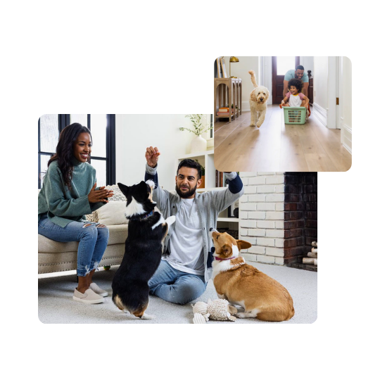Carpet vs. Hard Surface Flooring for Henderson, NV Homes