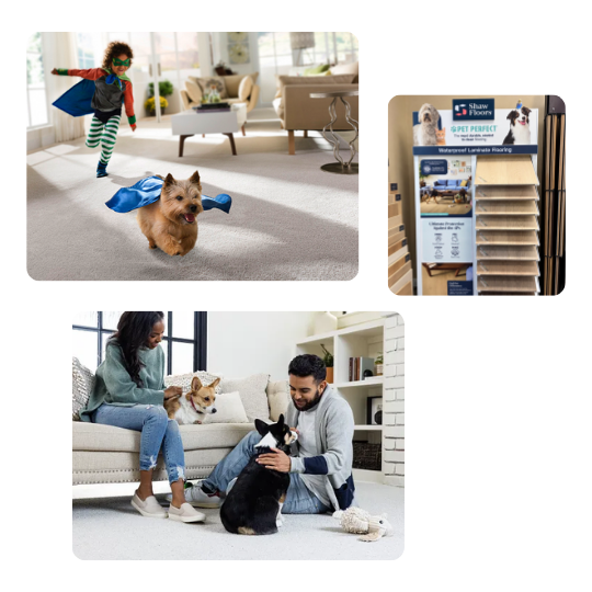 Is Carpet a Good Choice for People With Allergies
